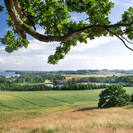Apartment Kamingblick