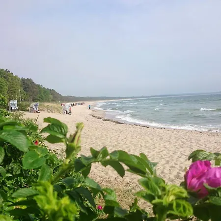 Kamingblick Apartment Groß Zicker