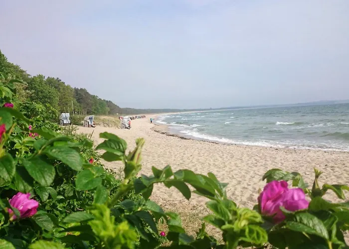 Kamingblick 公寓 Groß Zicker