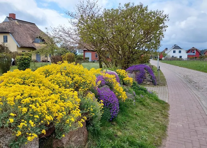 Kamingblick 公寓 Groß Zicker